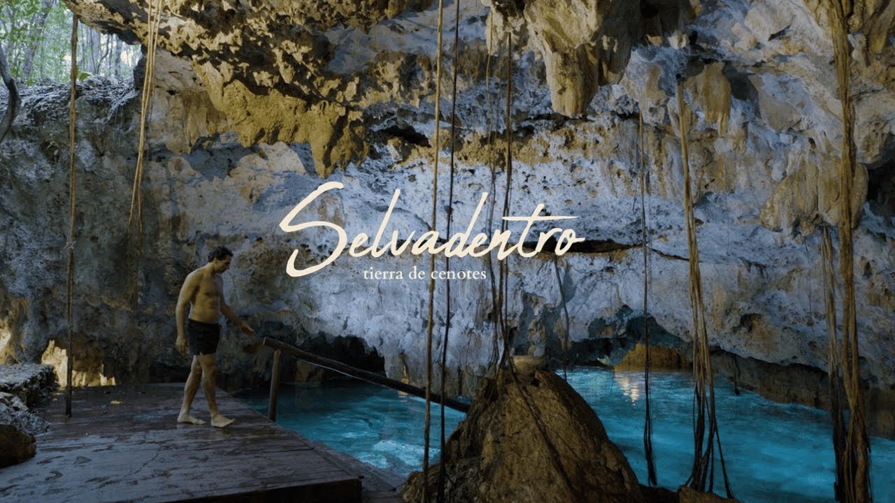 Meet Selvadentro