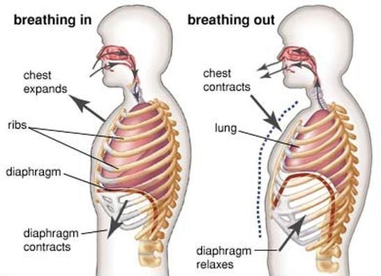 The power of your breath