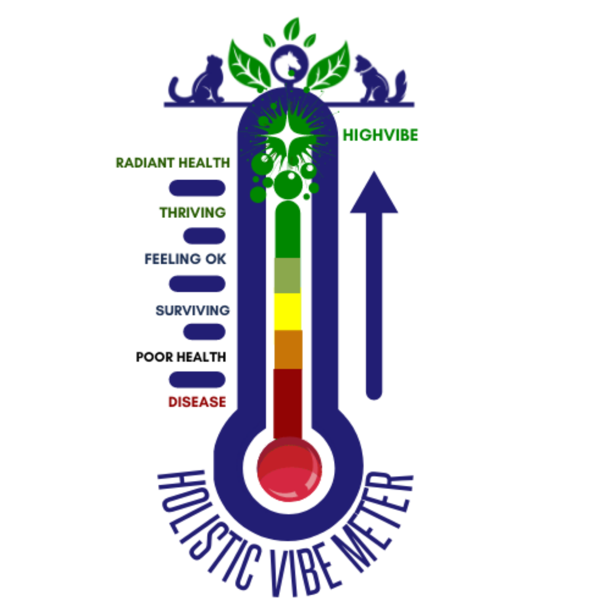 The Holistic Vibe Meter, a thermometer running from disease at the base through poor health, surviving, feeling OK, thriving and radiant health to HighVibe at the top