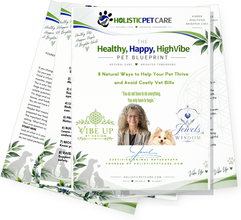 Pages of The Healthy, Happy, HighVibe Pet Blueprint fanned out, a free guide by Jewel of Holistic Pet Care