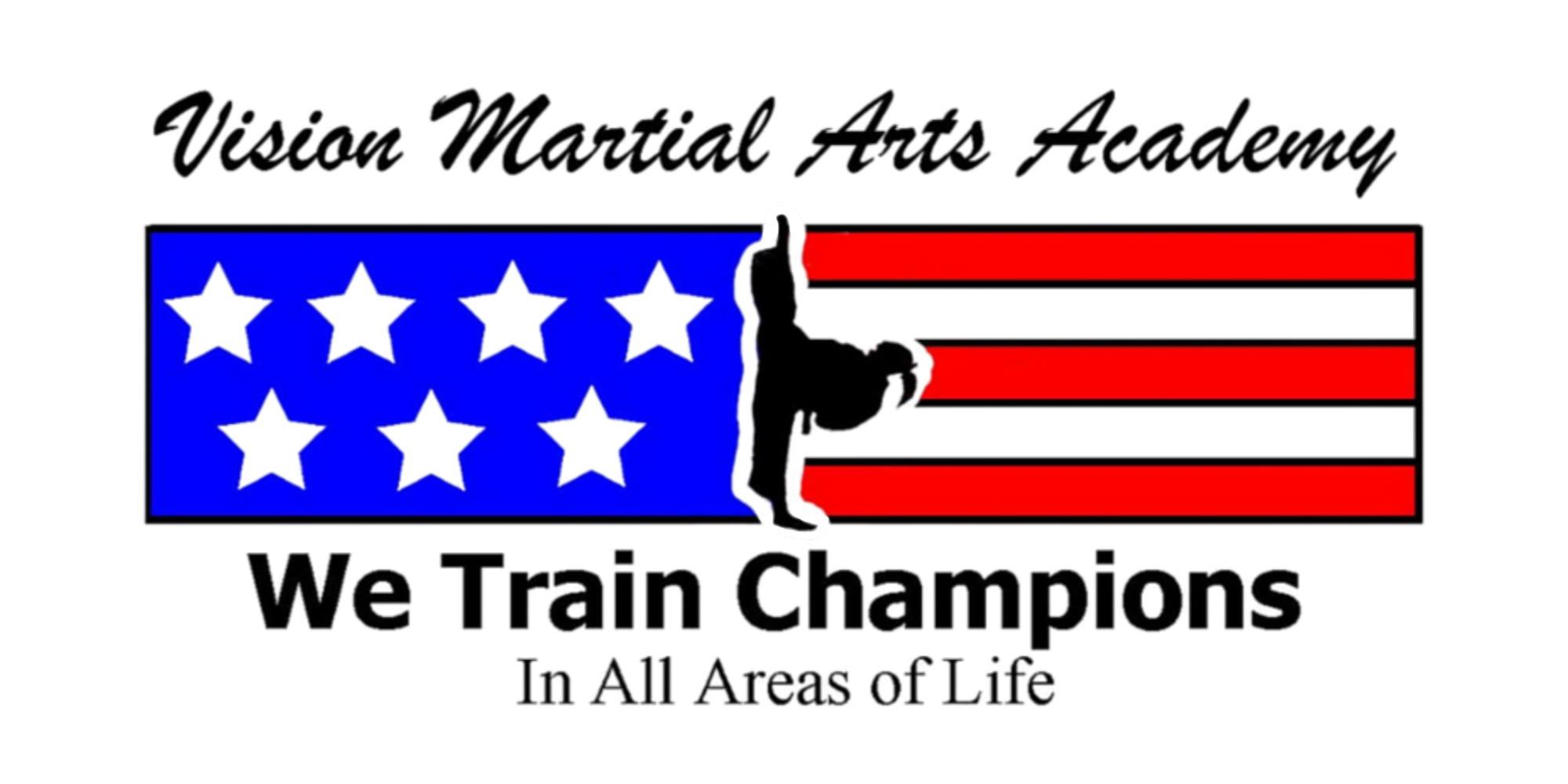 Vision Martial Arts Academy logo