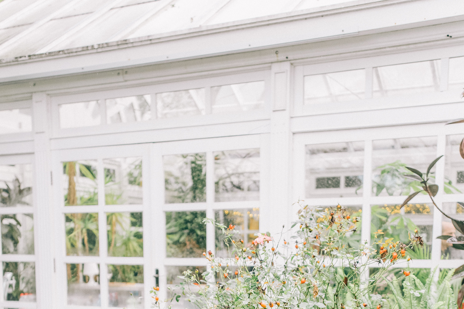 Conservatory services Coastal Contracting