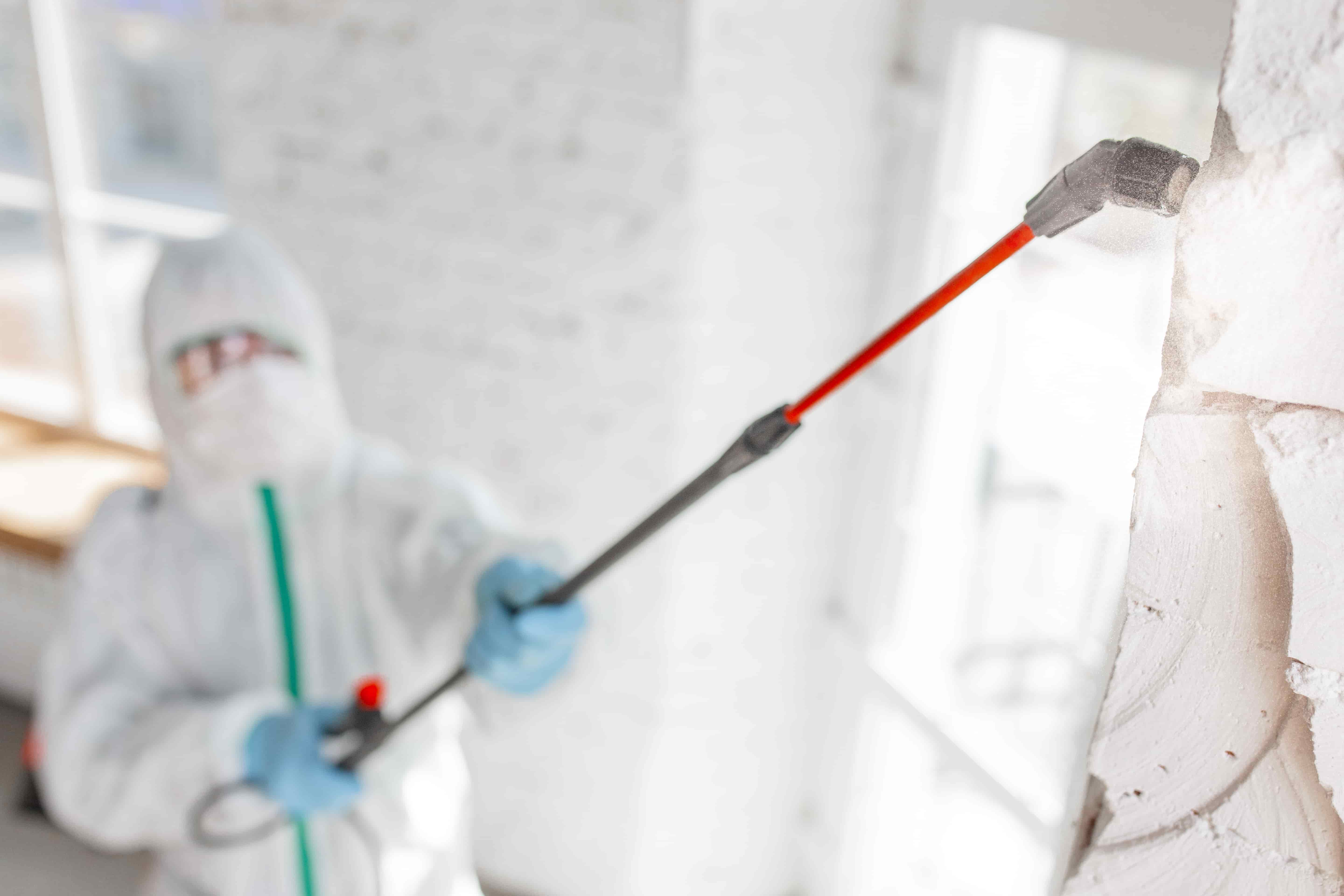 Restoration remediation and abatement services Coastal Contracting
