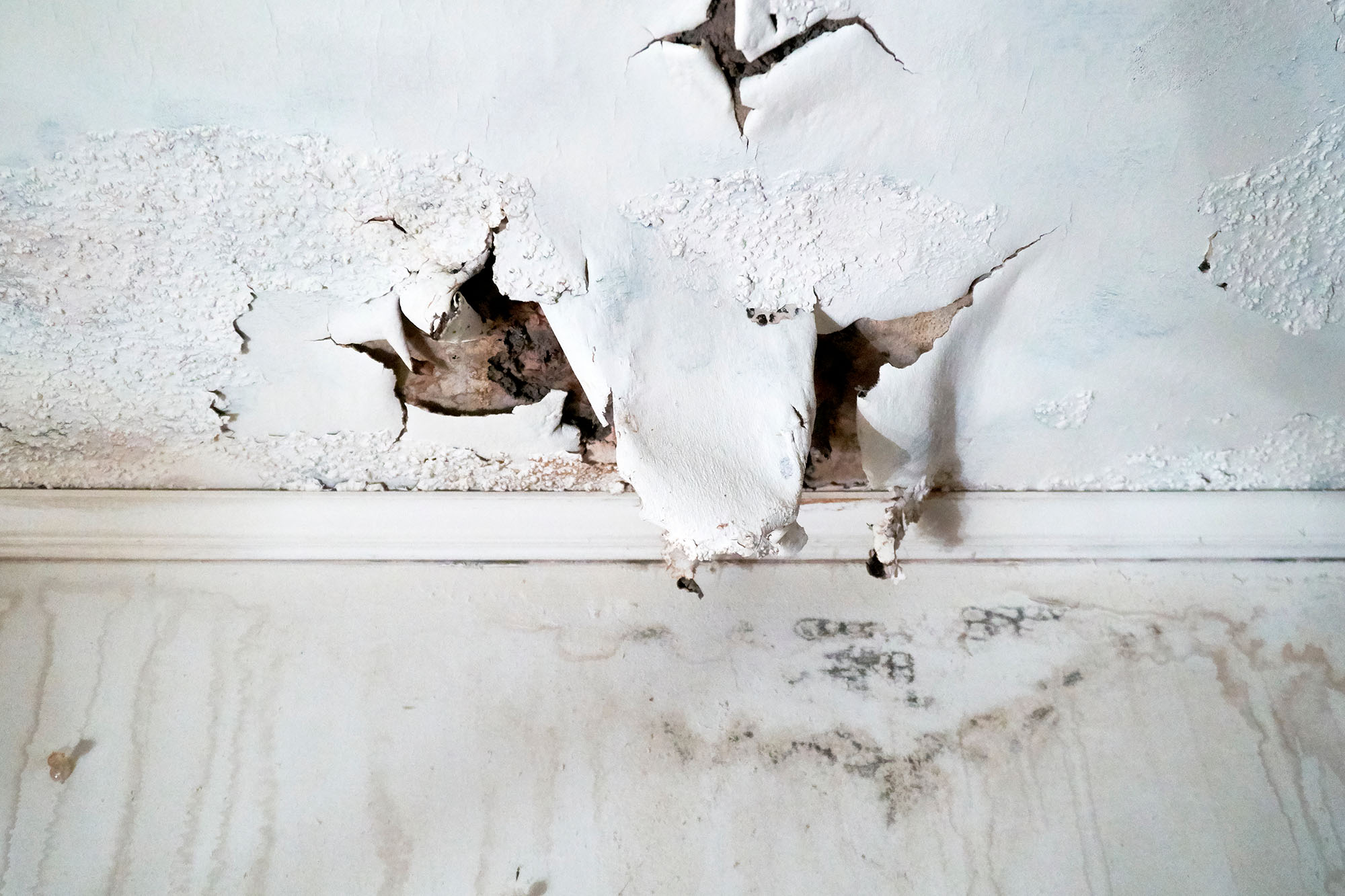 restoration remediation abatement services coastal contracting