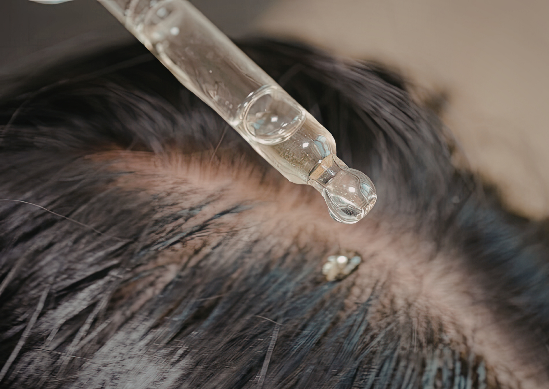 Plant Based Treatment