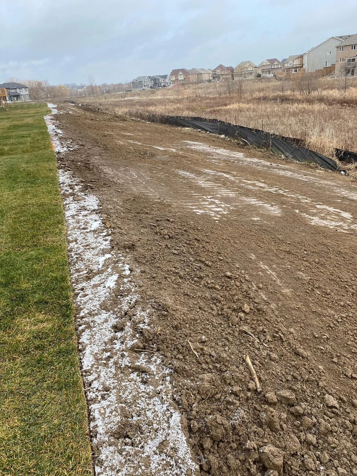 Precision rough and fine site grading, topsoil importation, fill removal, commercial sod installation, and hydroseeding for rapid establishment.