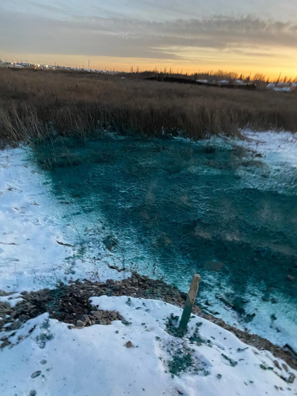 Hydroseeding application establishing turf on a graded GTA site