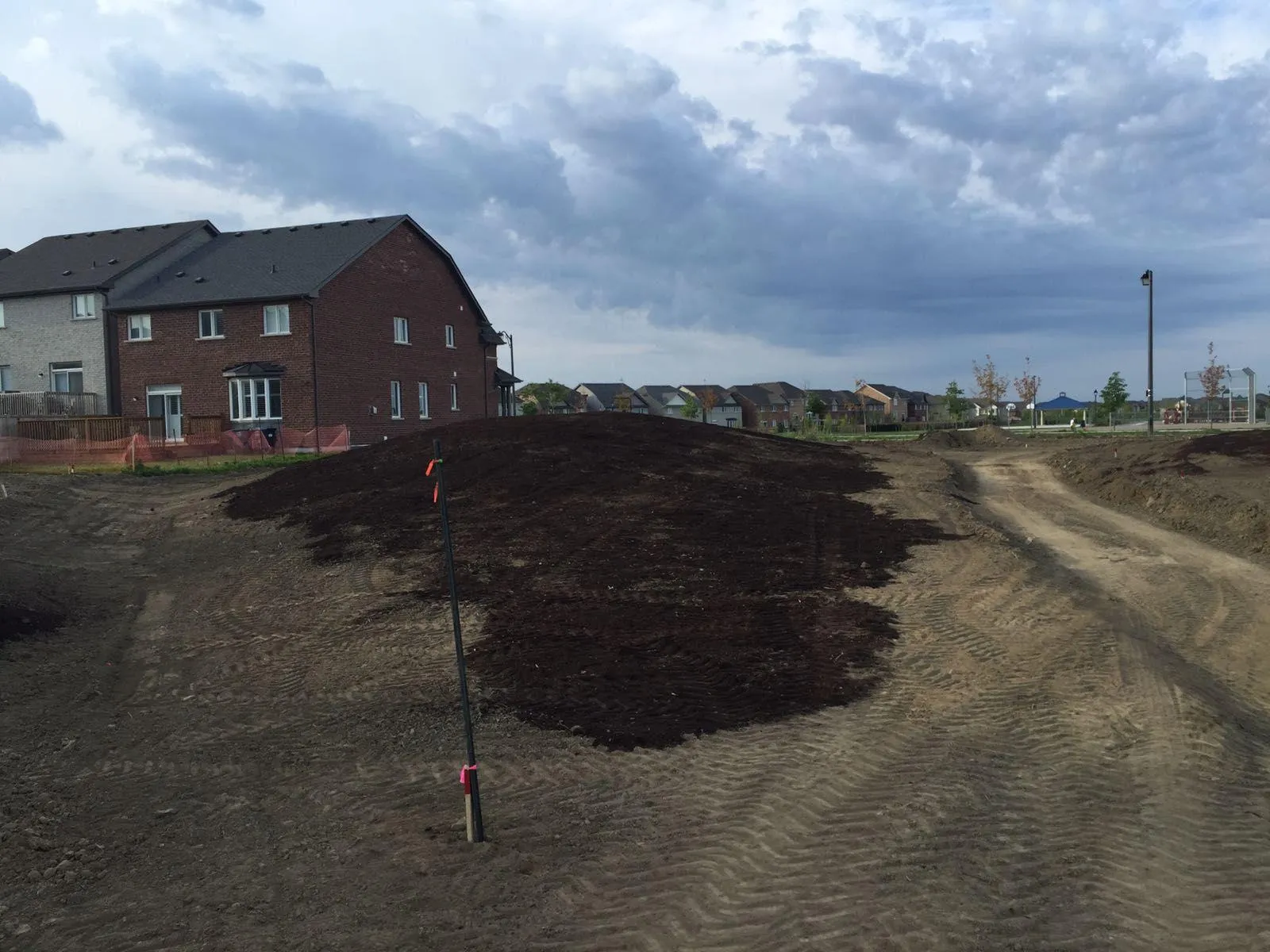 Sod installation along a boulevard after fine grading in the GTA