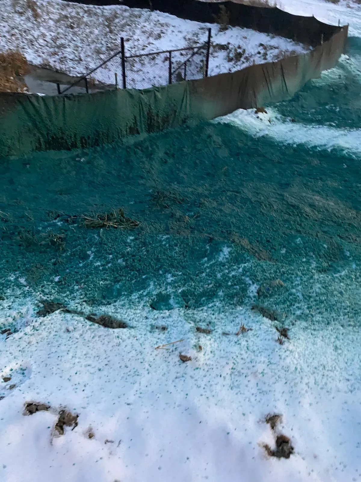 Hydroseeding along a roadside verge for quick vegetation in the GTA