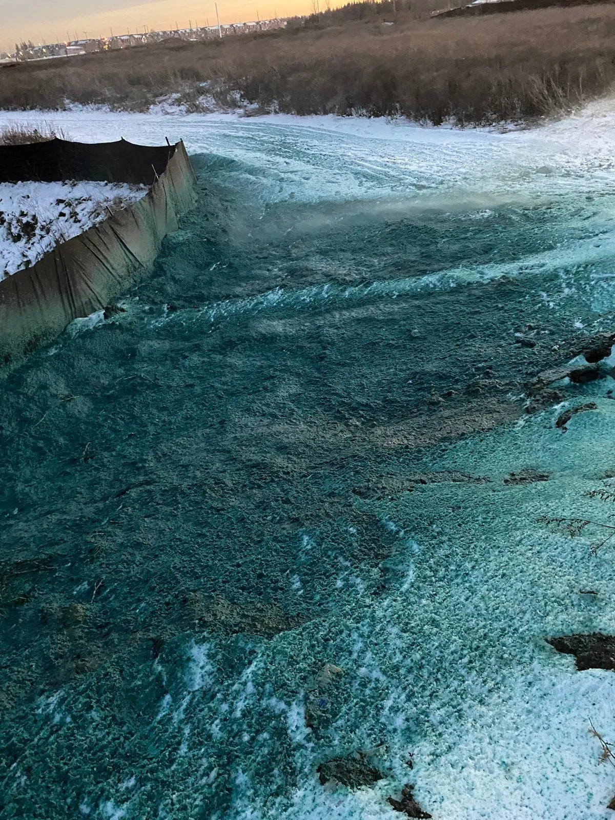 Hydroseeded slope with erosion control blanket in the GTA