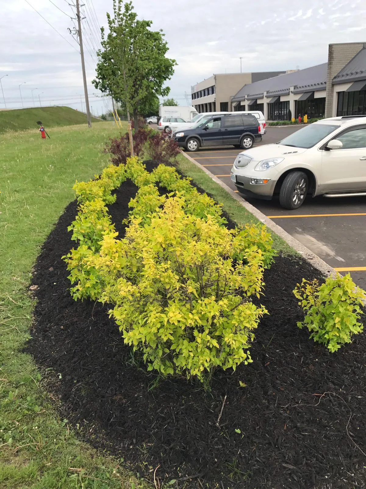Landscaped grounds maintenance at a corporate campus in the GTA