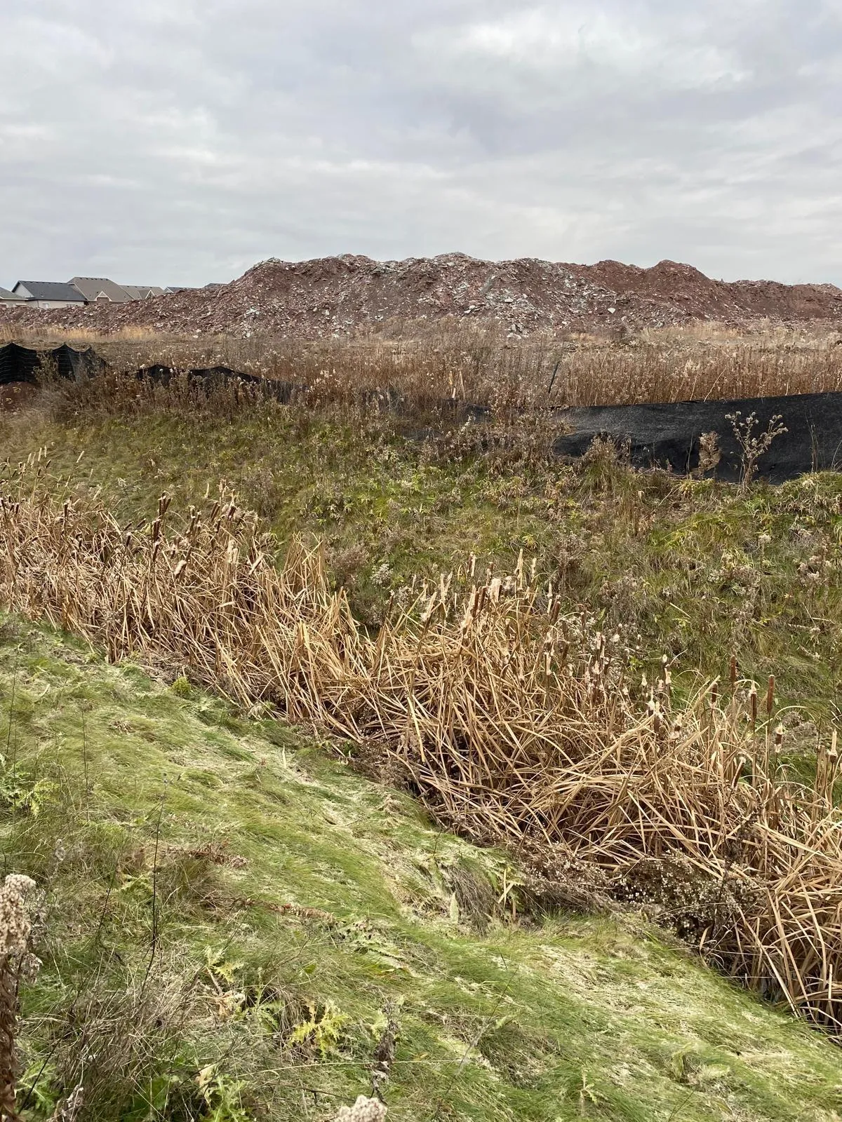 Stormwater management pond shoreline stabilization in the GTA
