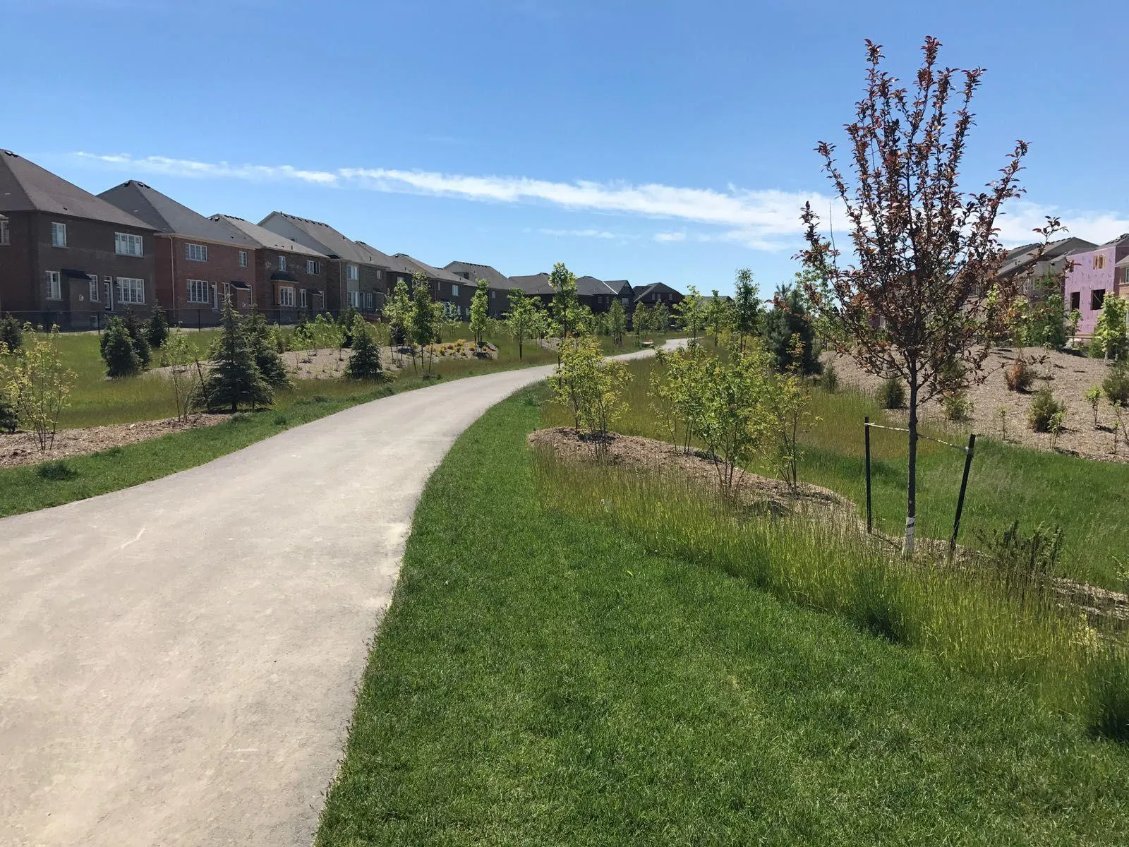 Paved recreational trail running through a municipal park in the GTA
