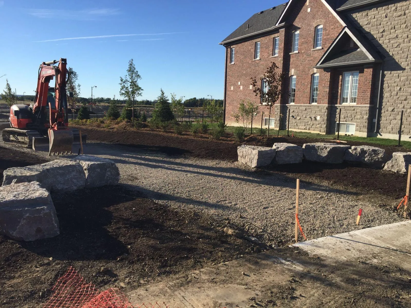 Newly planted boulevard shade trees staked along a commercial roadway in the GTA