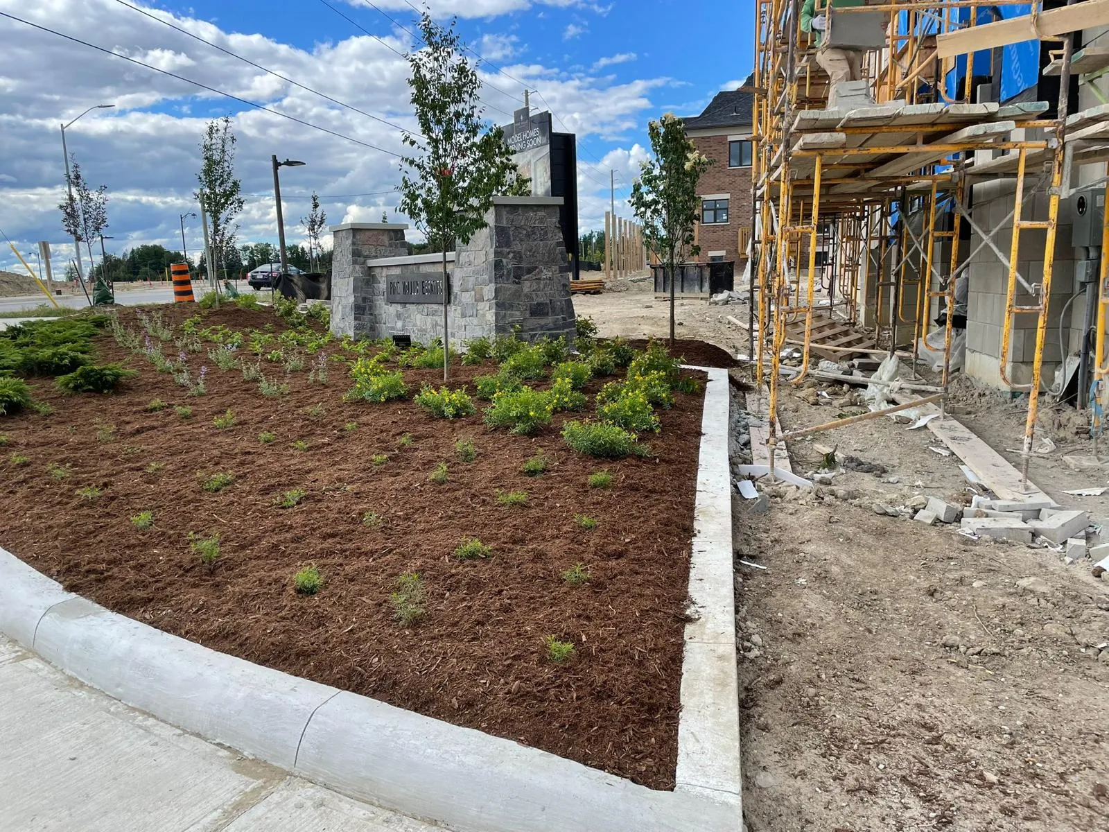 Tree planting along a commercial parking lot island in the GTA