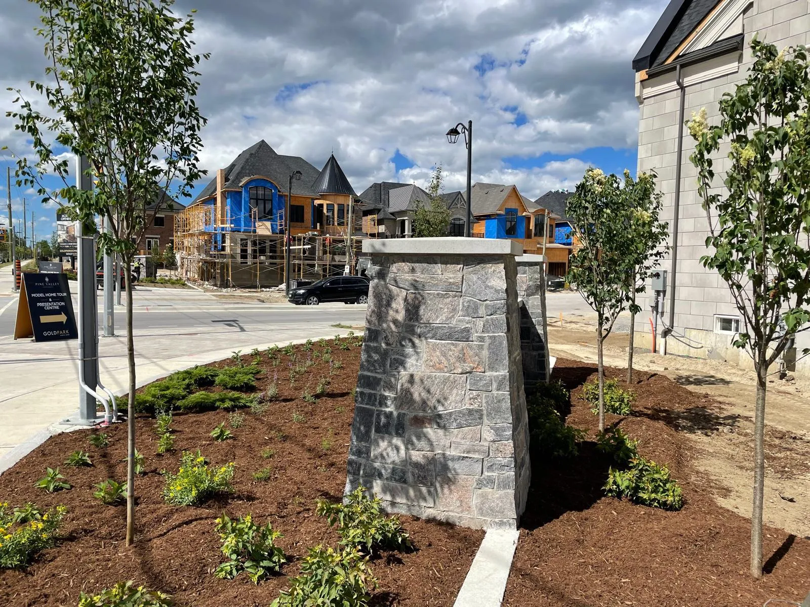 Ornamental trees planted along an office building entrance in the GTA