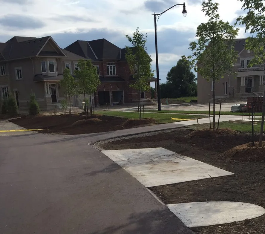 Large caliper tree planted with mulch ring on a GTA commercial site