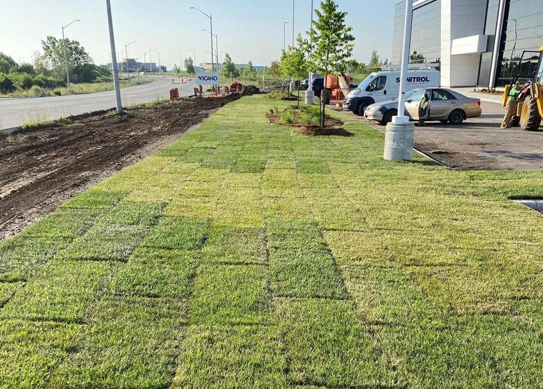 Residential development rear yard graded to rough soil in the GTA