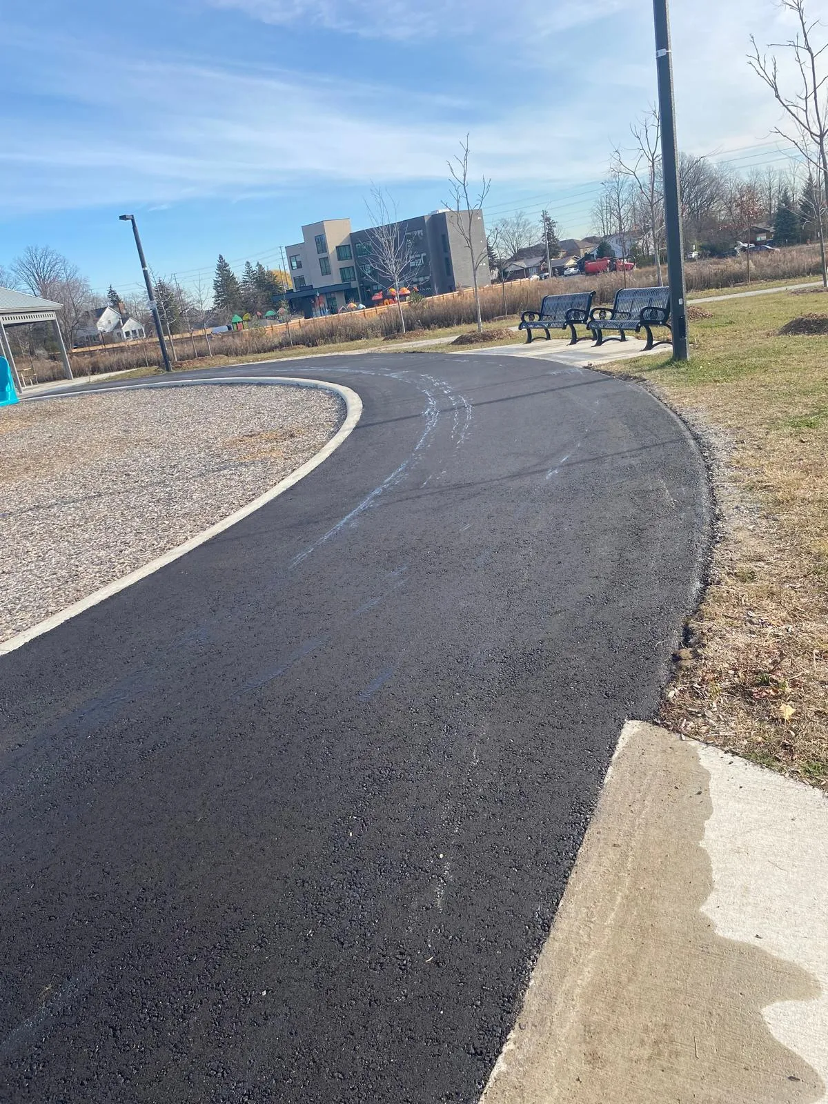 Turnkey municipal park construction and shade trees