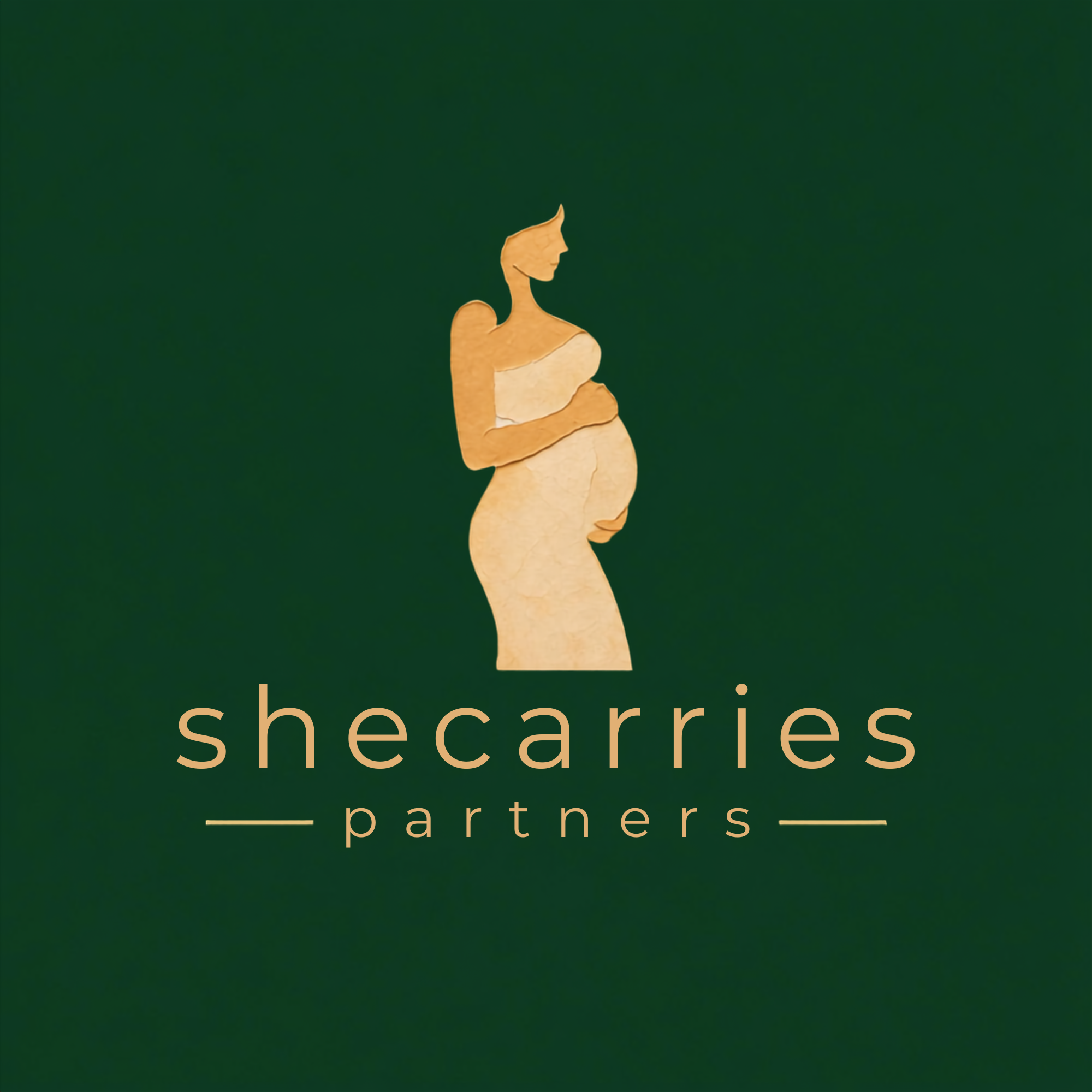 SheCarries Partners