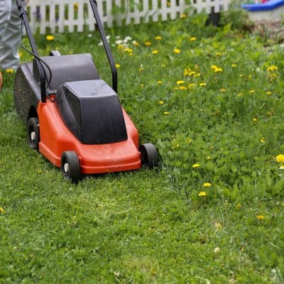 {{ custom_values.service_1 }} in {{custom_values.area_3})