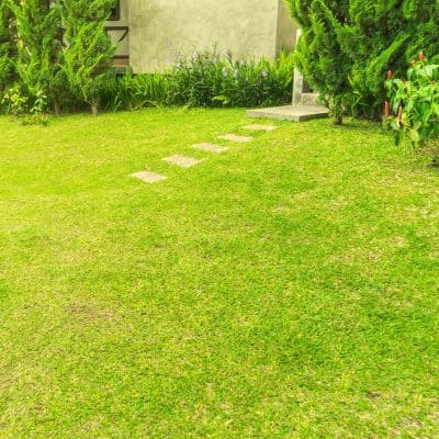 {{ custom_values.service_2 }} in {{custom_values.area_3})