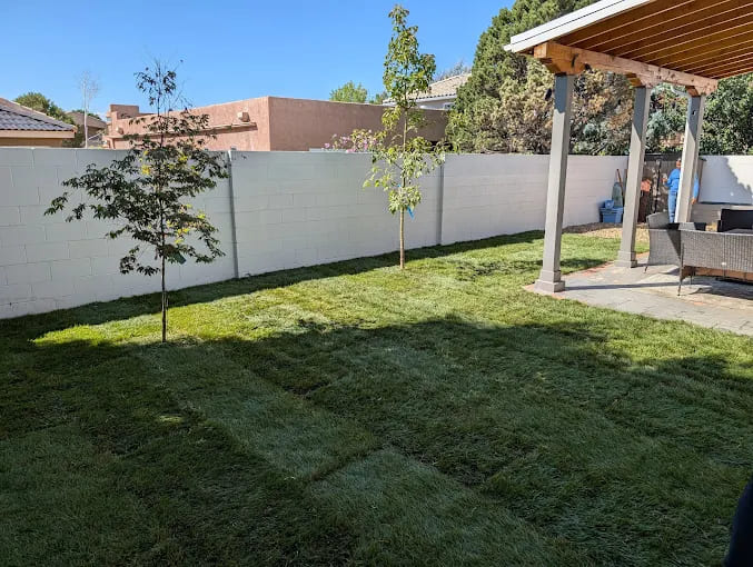 Irrigation System Upgrade & Maintenance