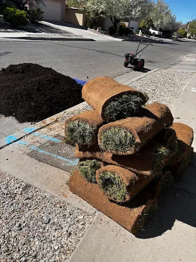 Professional 3D Landscape Design 