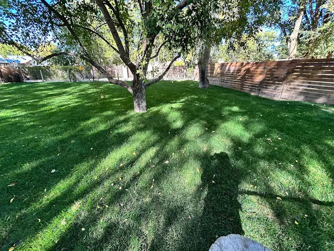 Irrigation System Upgrade & Maintenance Albuquerque