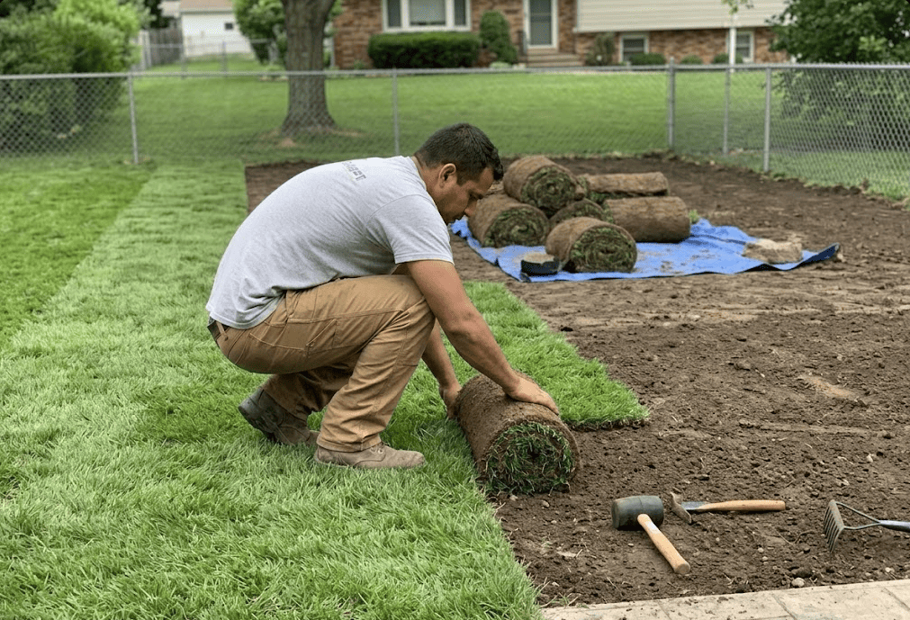 Sod Installation in Albuquerque