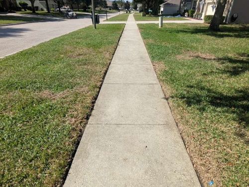 Sidewalk & Walkway Cleaning Winter Springs