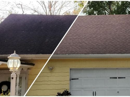 Longwood Roof Soft Wash