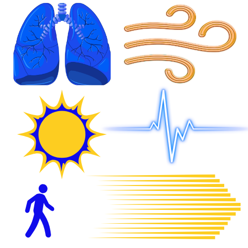 Feature map showing three biohack conversions — micro-breath audio, light cue, micro-movement — with prototype suggestions for each.