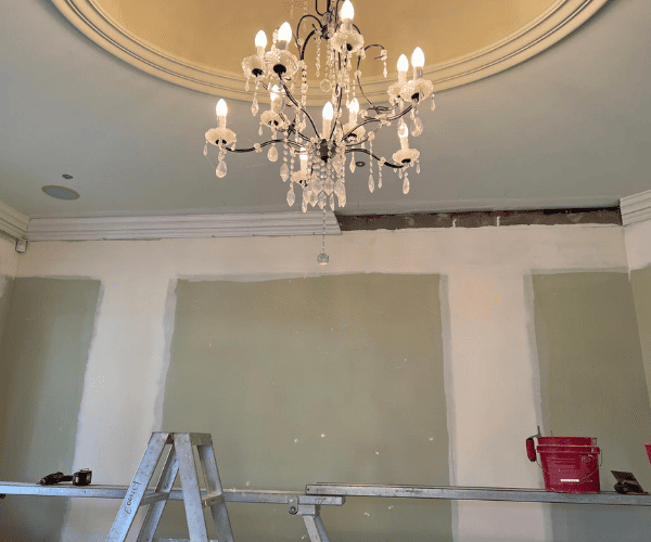 Carine Fancy cornice and ceiling roses