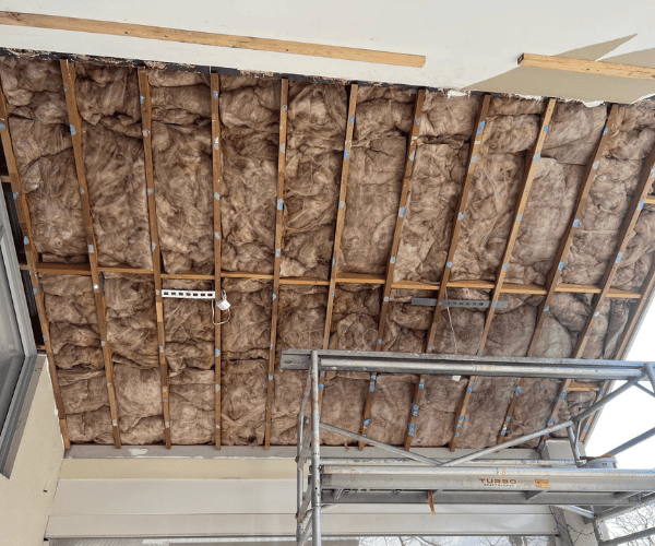 Carine Ceilings