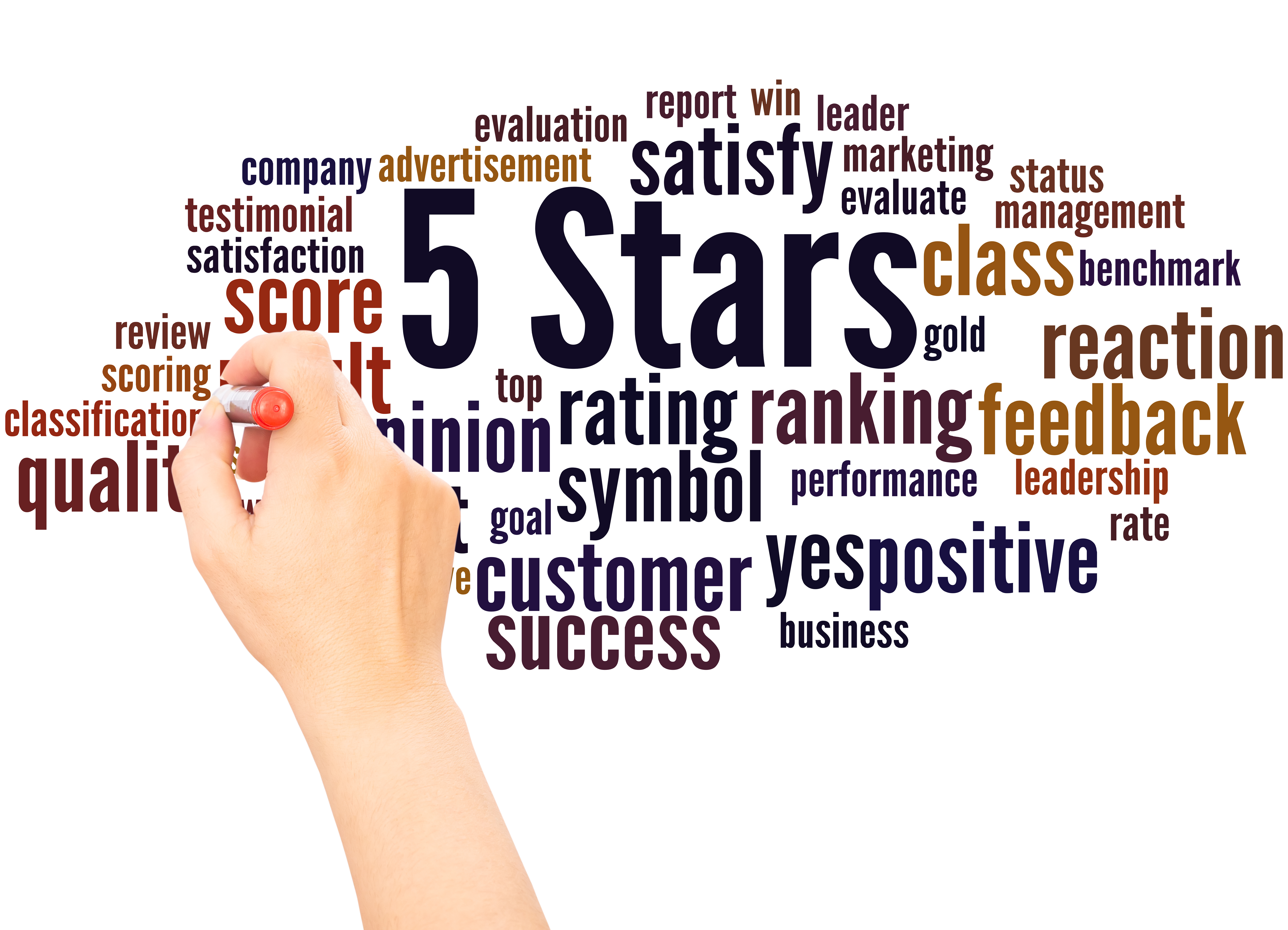business success feedback