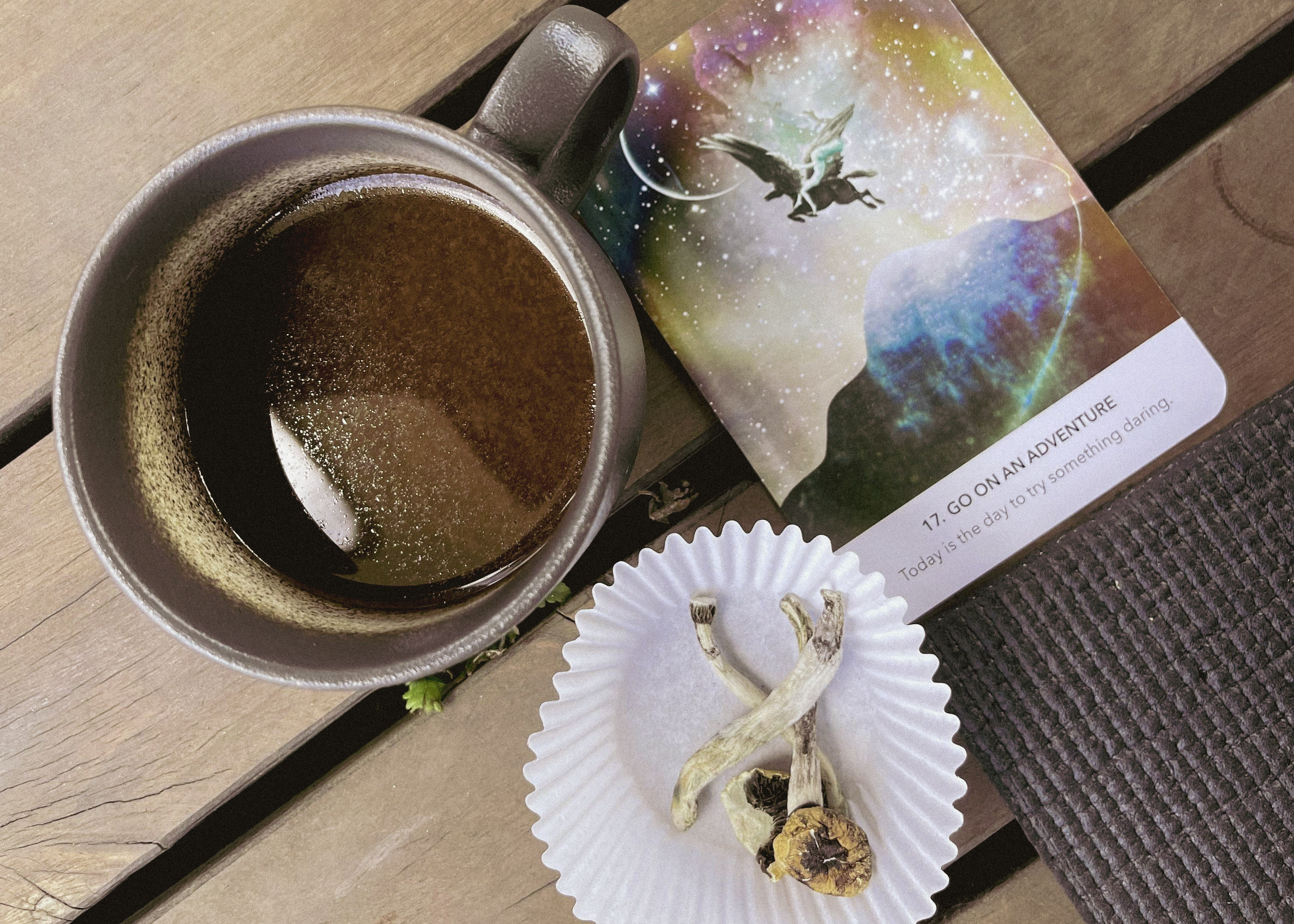 Psilocybin Mushrooms