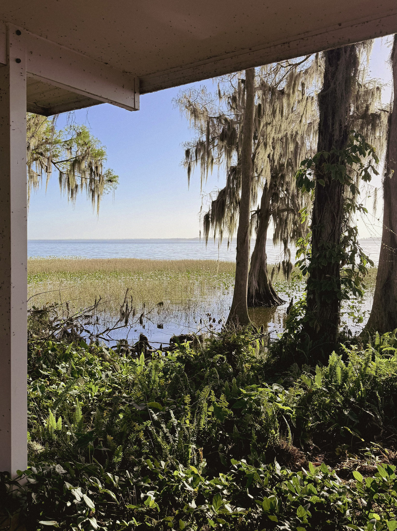 New Year Transformational Retreat in Alachua, Florida