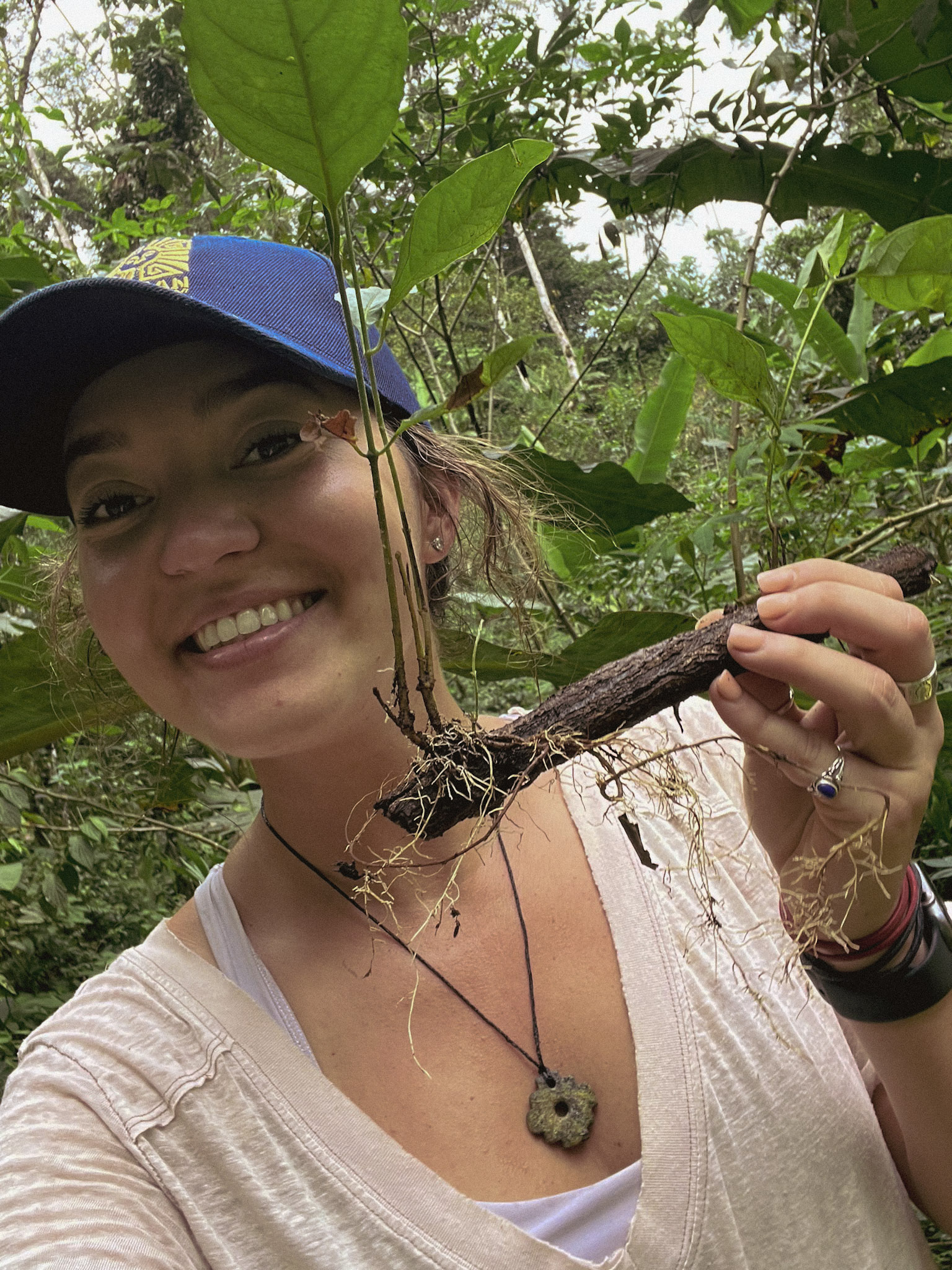 Kambo Kasey with Sacred Jungle Medicine Root