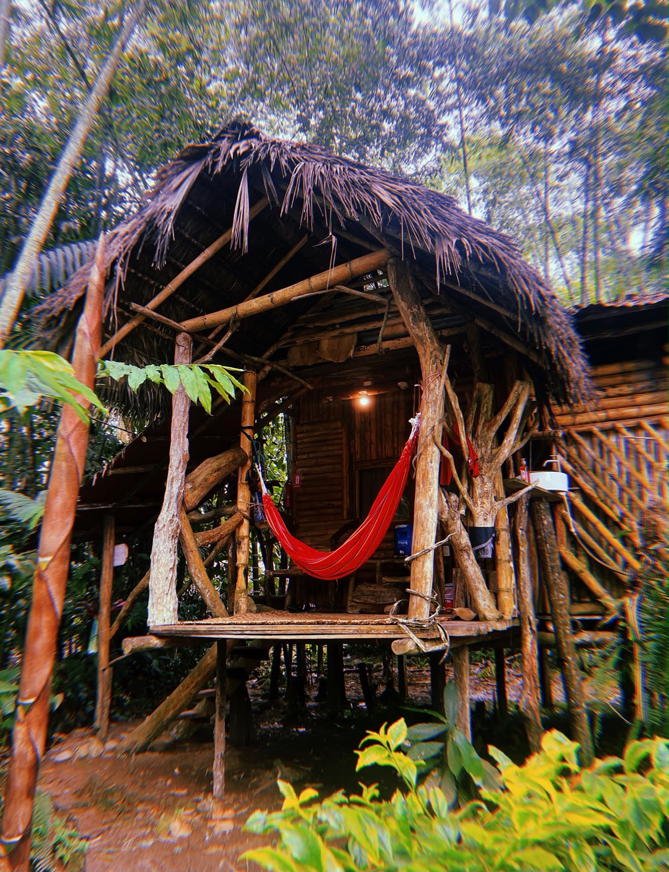 Ceremony Experience