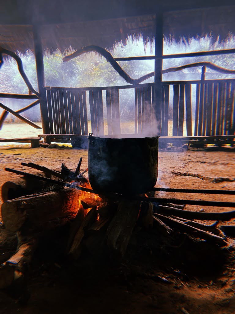 Ayahuasca Ceremony Photo 5