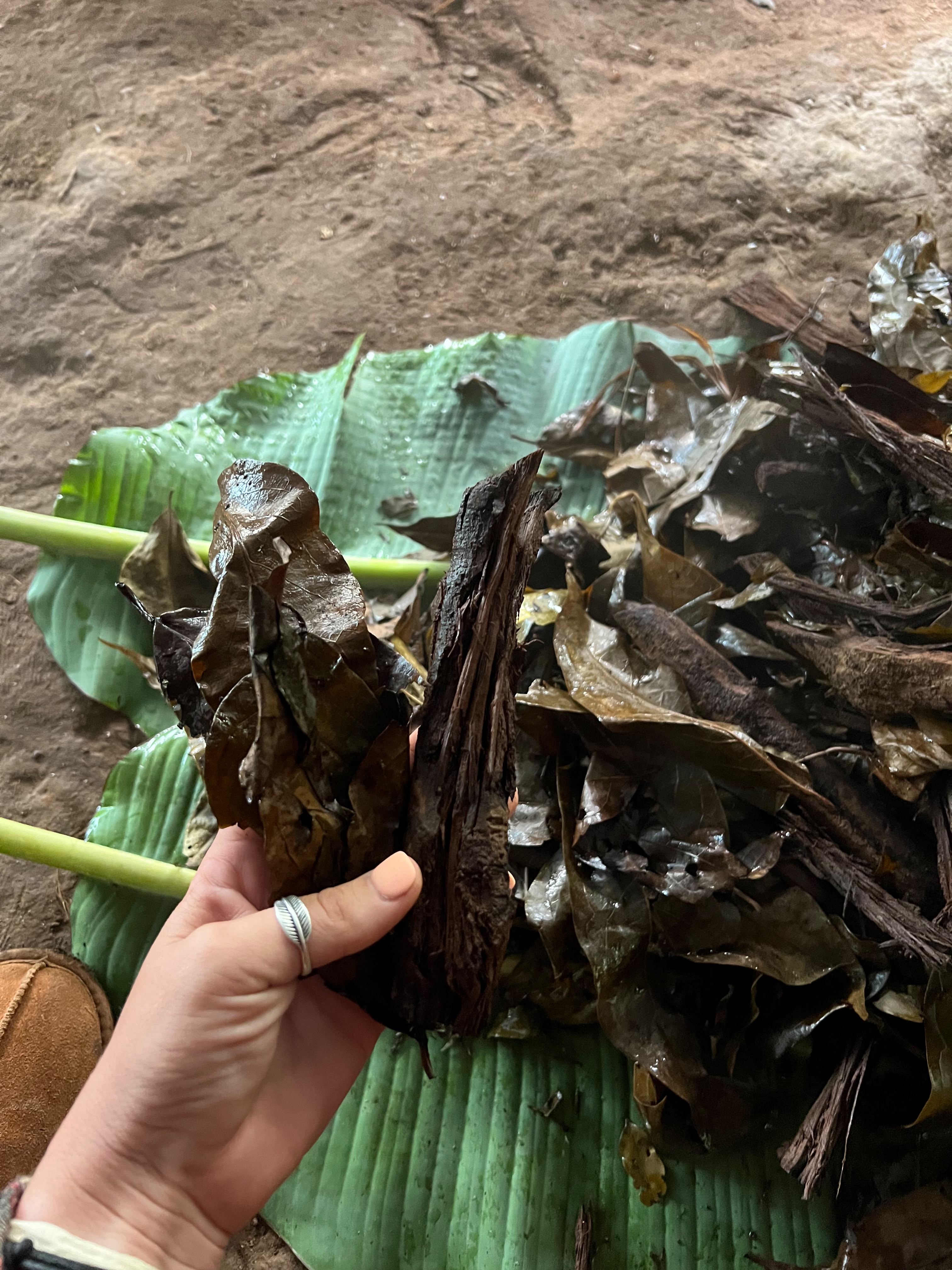 Ayahuasca Ceremony Photo 4