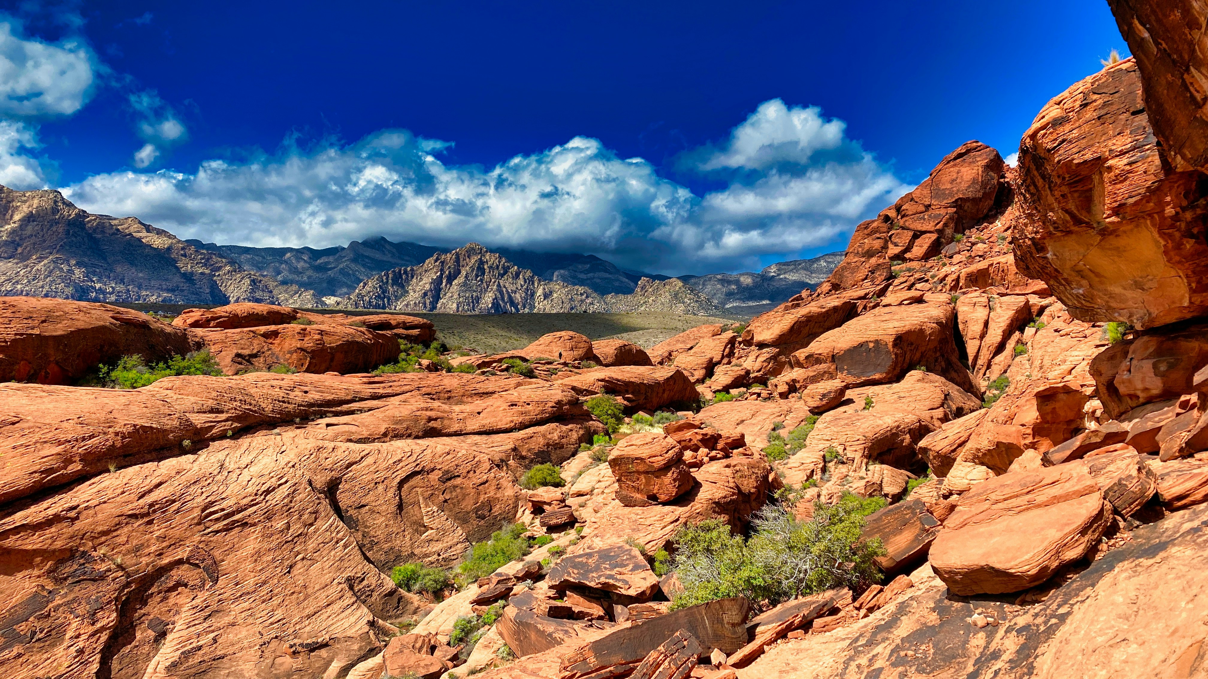Red Rock Canyon National Conservation Area — 30 minutes from downtown Las Vegas
