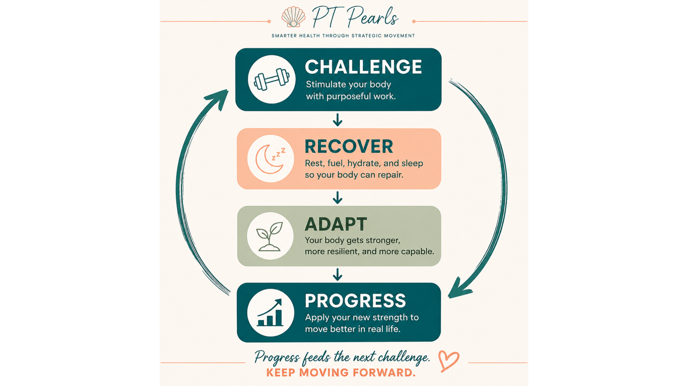 Challenge, recover, adapt and progress cycle for building strength and muscle. Challenge, recover, adapt and progress cycle for building strength and muscle.