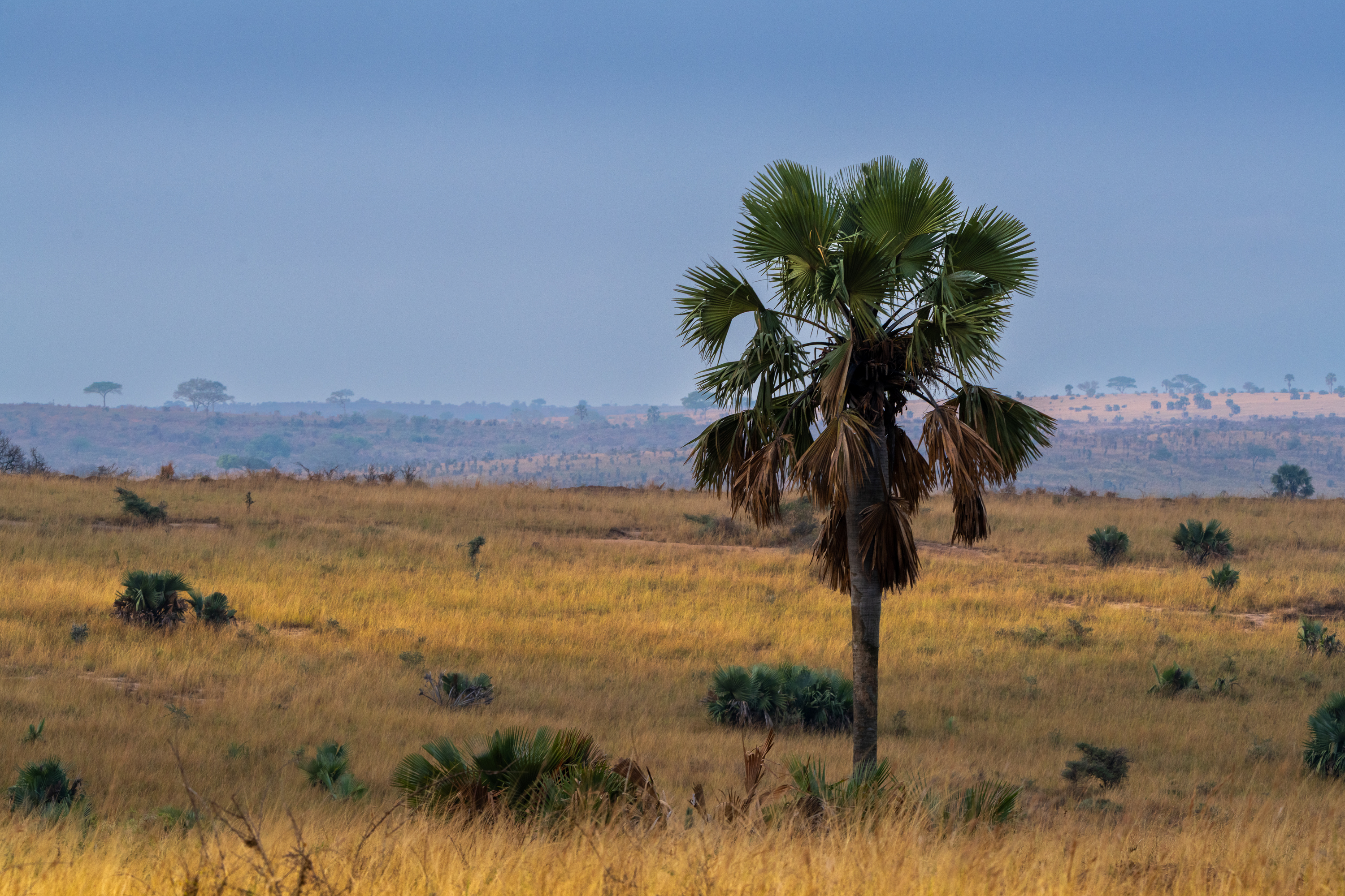 Karamoja and the Kidepo Valley, Uganda