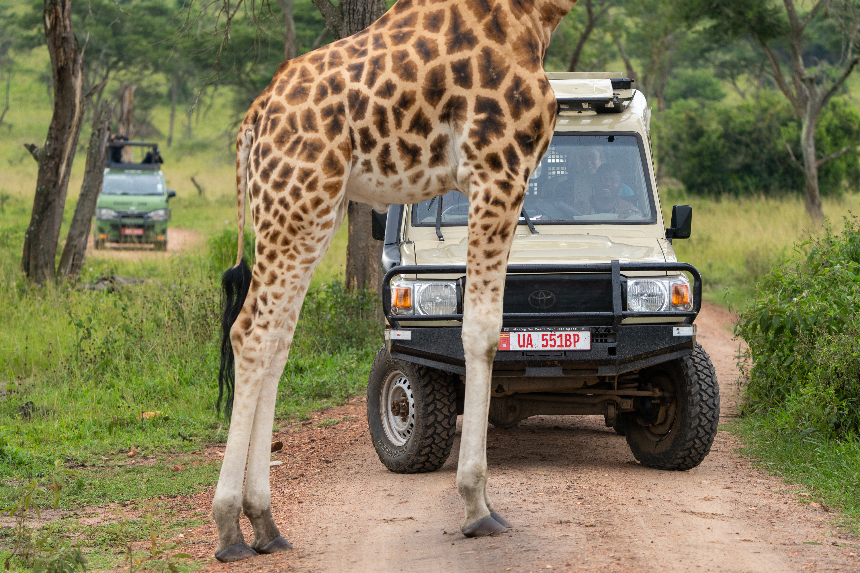 Viajes Matatu off-road vehicles prepared for a safari