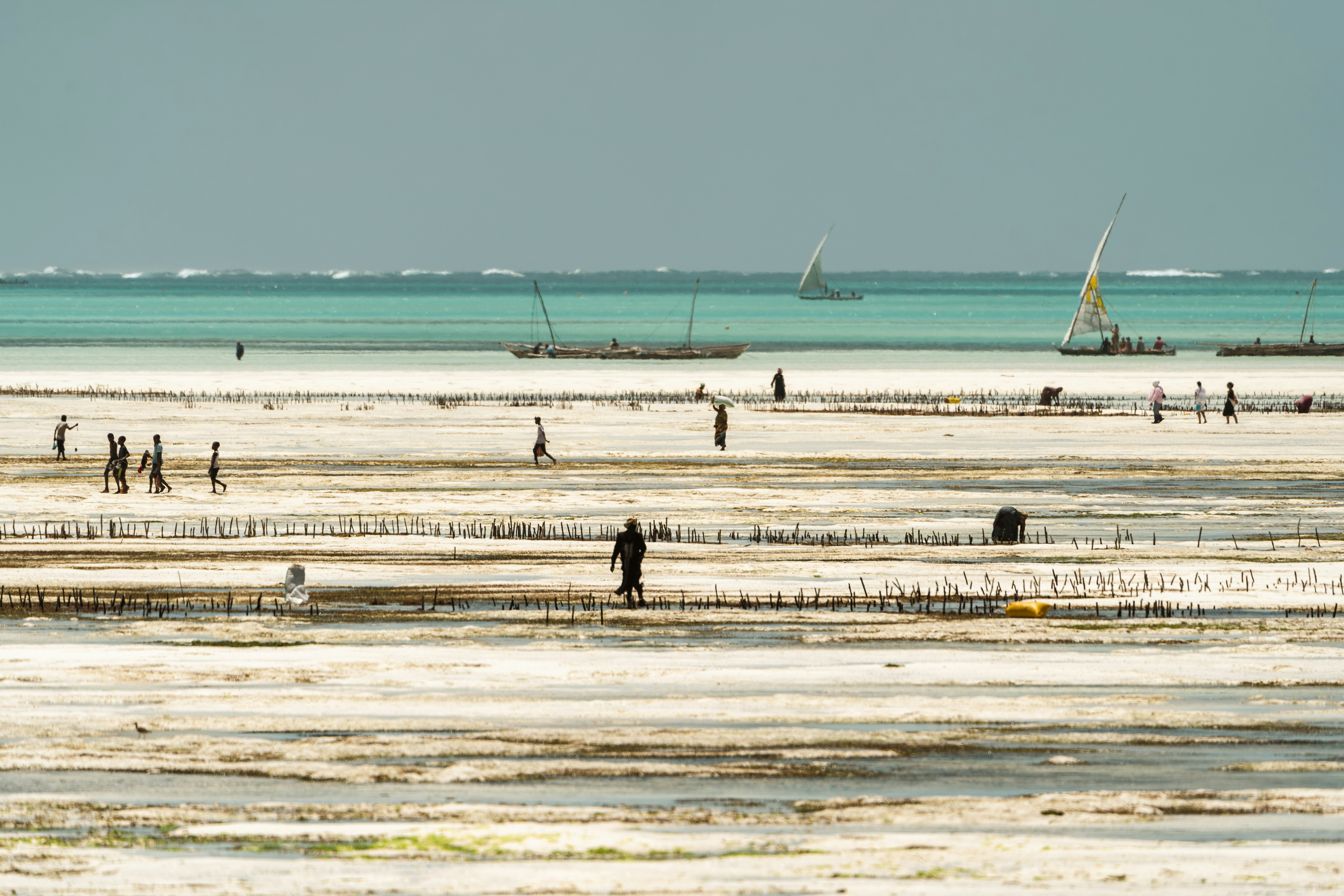 Costa sureste de Zanzíbar