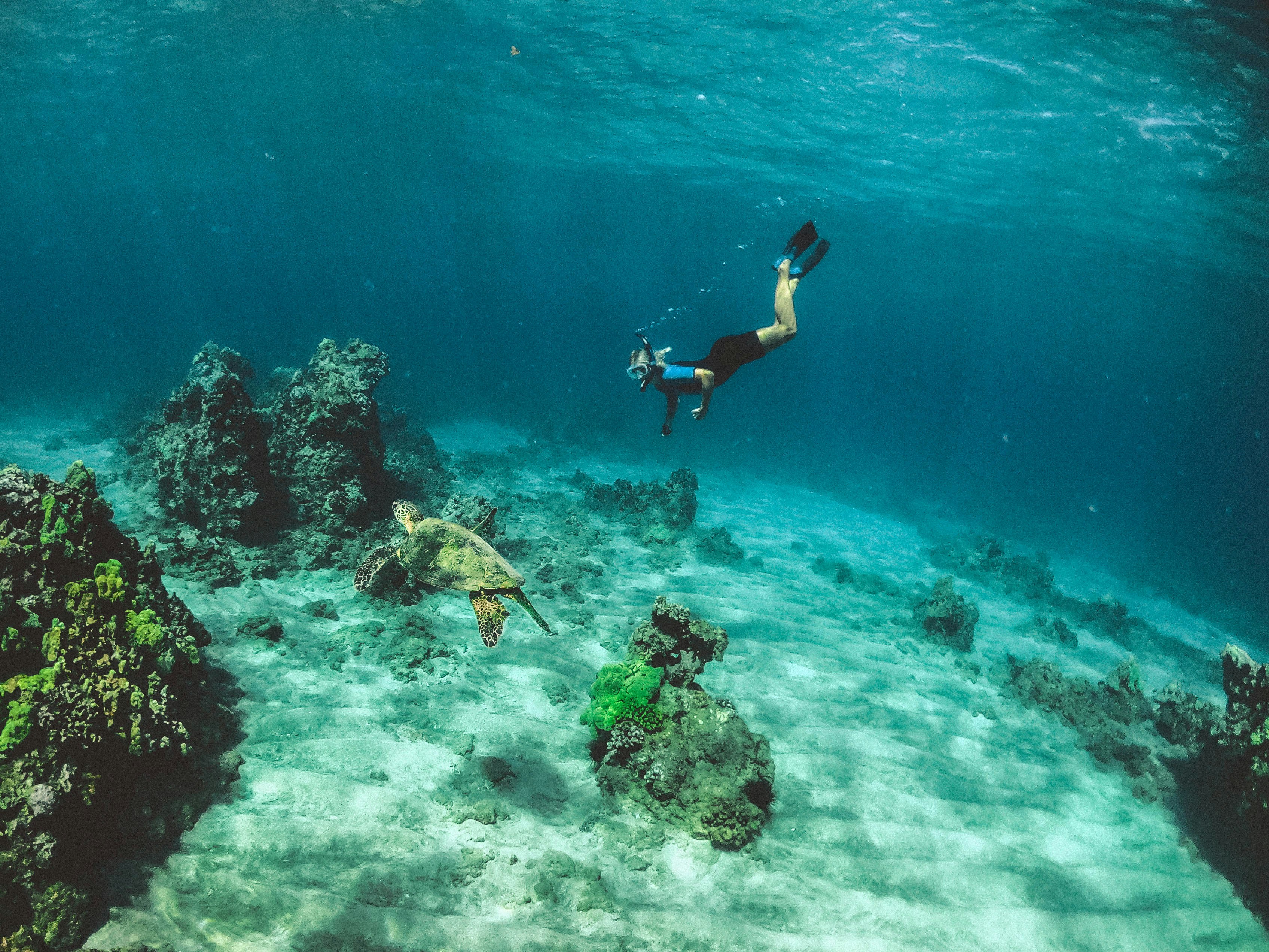 Snorkel en las aguas turquesas de Zanzíbar