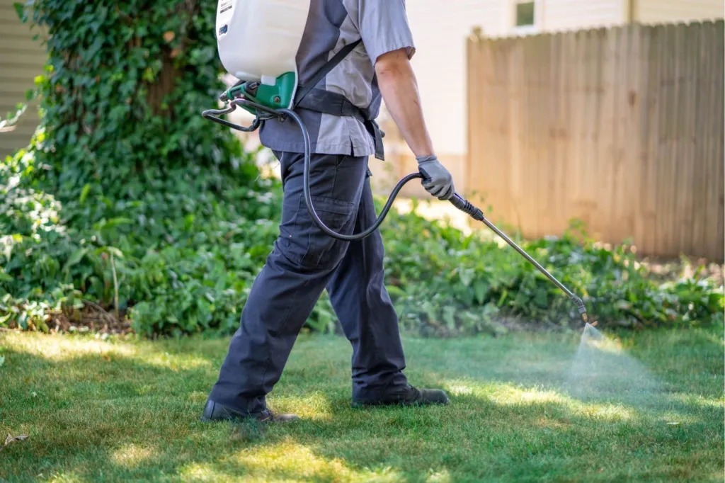 Lawn Mowing