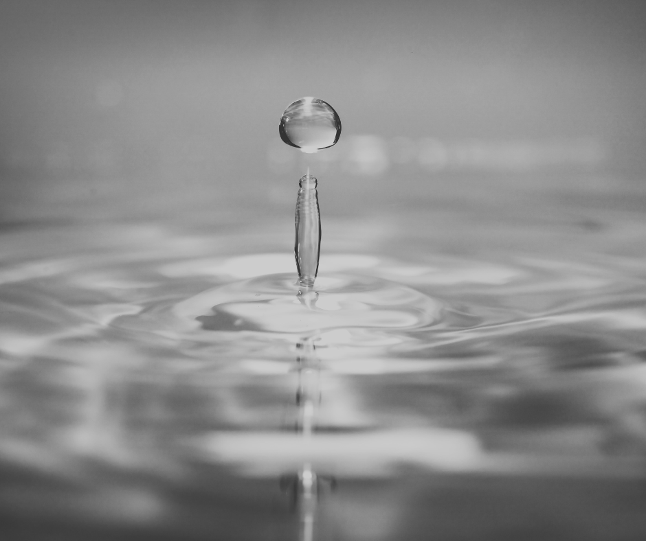 Leadership activation through facilitated, embodied engagement